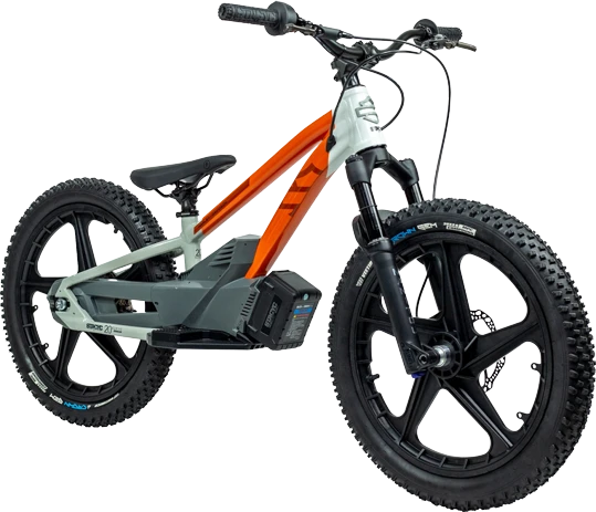 20eDRIVE Pan America Launch Edition e-BIKE